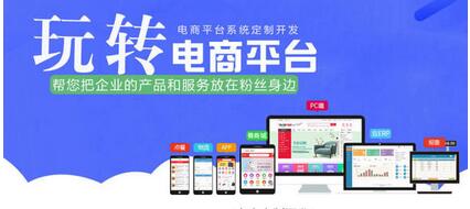 電商平臺軟件開發 電商平臺軟件開發具備哪些功能？