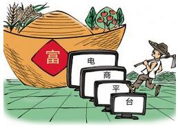 農(nóng)村電商平臺(tái)開發(fā)