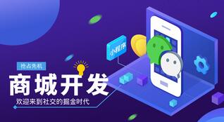 網(wǎng)上商城系統(tǒng)開(kāi)發(fā)解決方案