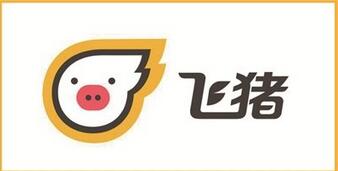 旅游APP開(kāi)發(fā)：類似飛豬旅游APP開(kāi)發(fā)