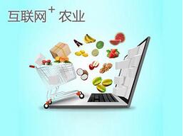 農(nóng)產(chǎn)品小程序開發(fā)